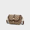Bags Women's Autumn and Winter New Messenger Bags Women's Bags Light Luxury Niche High-end Small Bags Shoulder Bags Luggage