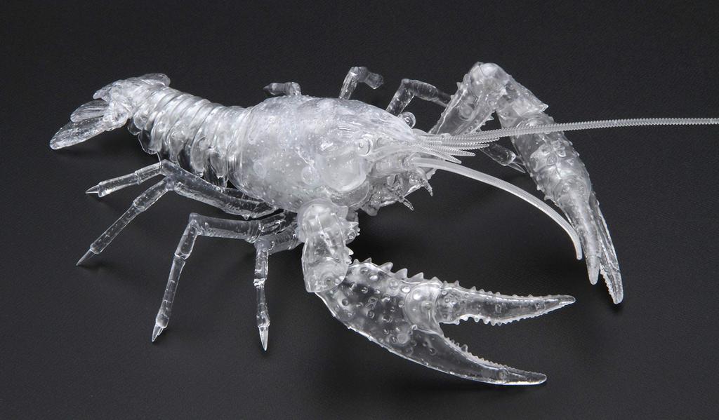 Fujimi Model Free Research Series Living Creatures Edition American Crayfish Free Research No.24 EX-3 (Transparent) 24EX-3