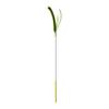 Pet Cat Teaser Rod for Stimulating Feline Curiosity Wand with Foxtail Setaria Grass for Active Pets and Fun Exercise