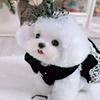 Abito da festa in velluto vestiti per cani autunno e inverno caldo orsacchiotto due zampe stile principessa gonna per animali domestici