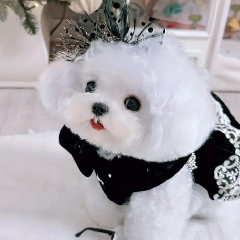 Abito da festa in velluto vestiti per cani autunno e inverno caldo orsacchiotto due zampe stile principessa gonna per animali domestici