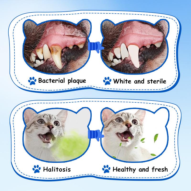 EXGYAN Mint Fresh Breath Spray for Dogs and Cats - Oral Hygiene Mouthwash