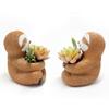 Resin Sloth Succulent Planter: Decorative Animal Flower Pot for Home and Garden.