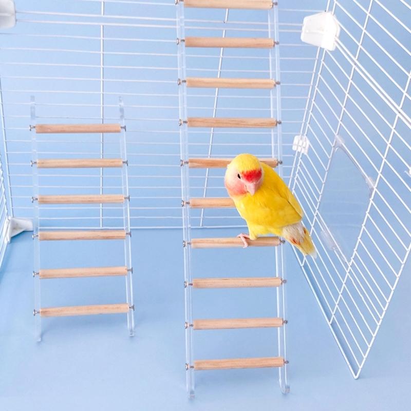 Vogelstange Naturholzständer für Papageien Sittiche Zubehör Wellensittiche Leiter Kratzbäume für Kleine Mittlere Papageien Ständer Spielzeug