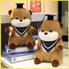 25Cm Cute High Quality Cartoon Sea Otter Plush Doll With Doctor Hat And Diploma Home Decor Graduation Gift For Kids And Students