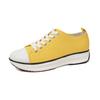 Foreign trade large size women's new fashionable low-top muffin platform canvas shoes lace-up flat casual single shoes