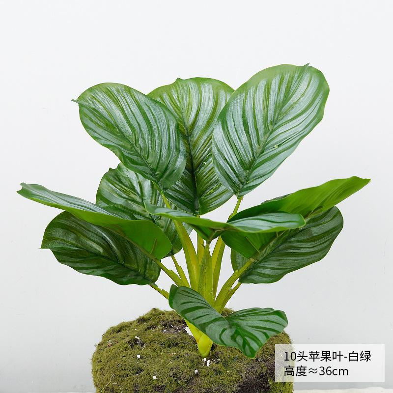 

Nordic style simulation green plant canna potted plant office fake green plant landscaping ornament real leaves