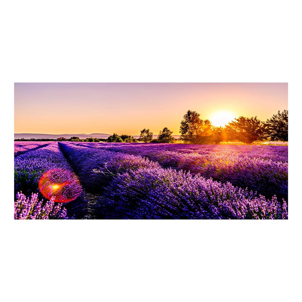 

Современные пейзажные картины, лавандовые постеры и принты, фиолетовые цветы, холст, картина для гостиной, домашний декор, настенное искусство Cuadros без рамки 30x60cm