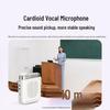 Ugreen V6 Portable Anti-Howling Wireless Amplifier (CN Version)