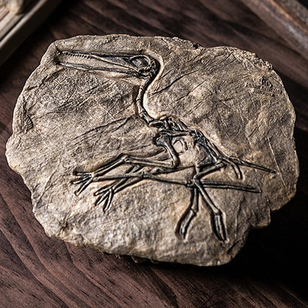 Resin Dinosaur for Fossil Figurines Retro Animal Statue Miniature Interior Livin