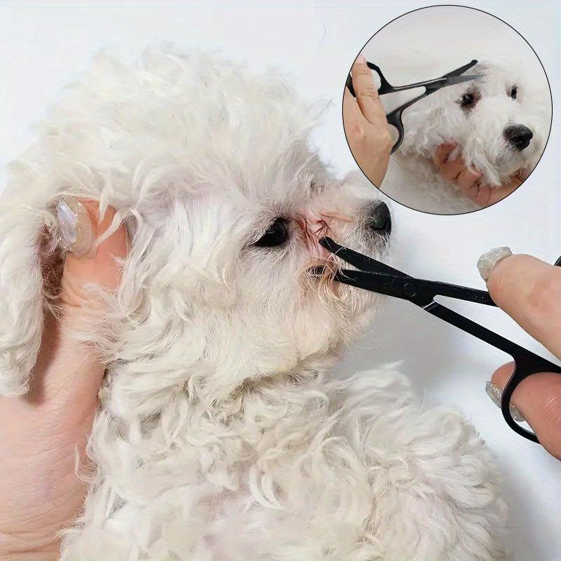 Professional Pet grooming scissors set - made of stainless steel material, equipped with safety round head design, suitable for dogs and cats