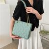 Simple Women's Fashion Bag New 2025 Spring and Summer New Texture Chain Messenger Bag Casual Shoulder Bag