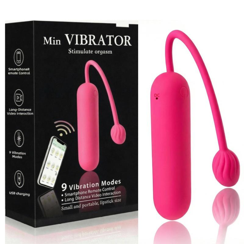 Multi-Speed Wireless Vibrating Bullet for Couples - Mini Massager & Anal Plug