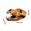 Artistic Wolf Skull Sculpture Resins Construction Animal Head Skeleton Replicas for Office Desk Decors Museums Display
