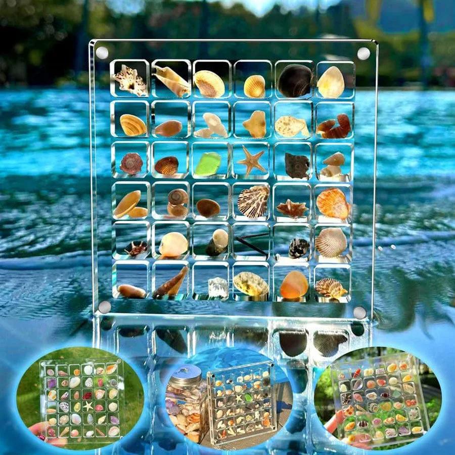 Custodia Espositore Magnetica in Acrilico Trasparente con 36 Scomparti Organizer Trasparente per Conchiglie Stelle Marine Gioielli Bigiotteria Esposizione per Creazione Gioielli