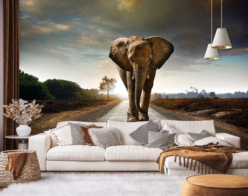 Wallpaper Elephant In the Way Animal Africa