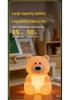 Rechargeable Silicone Teddy Bear Night Light