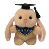 Graduation Bunny Doll, Doctor's Ear Drop Plush Toy Doll, Graduation Commemoration