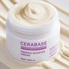 CeraBase Firming Booster Cream Skin Elasticity & Barrier Repair Moisturizer 50ml