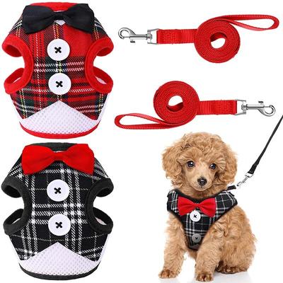 Pet Cats Harness and Leash Set Puppy Cat Harnesses Vest Rabbits Mesh Dress Bow Chest Belt Collar Pet Dogs Harness and Leash Sets