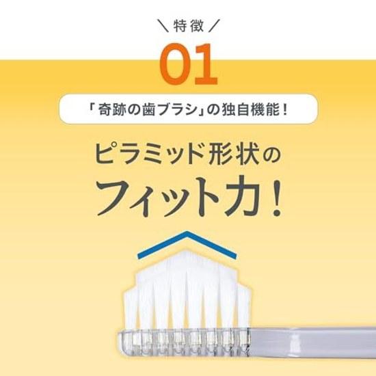 Miracle Toothbrush Regular Clear Black 3-Piece Set Adult UseGenuine ProductOfficial