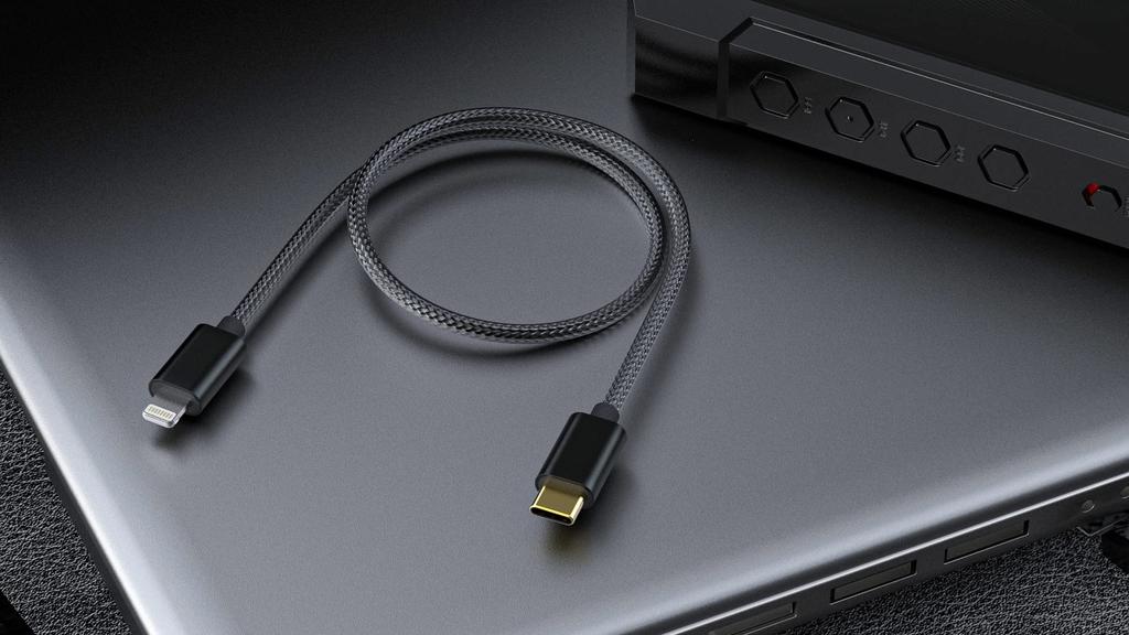 FiiO LT-LT4 [Offizielles japanisches Einzelhandelsprodukt] 50cm OTG-Kabel, Lightning Typ-C auf Lightning