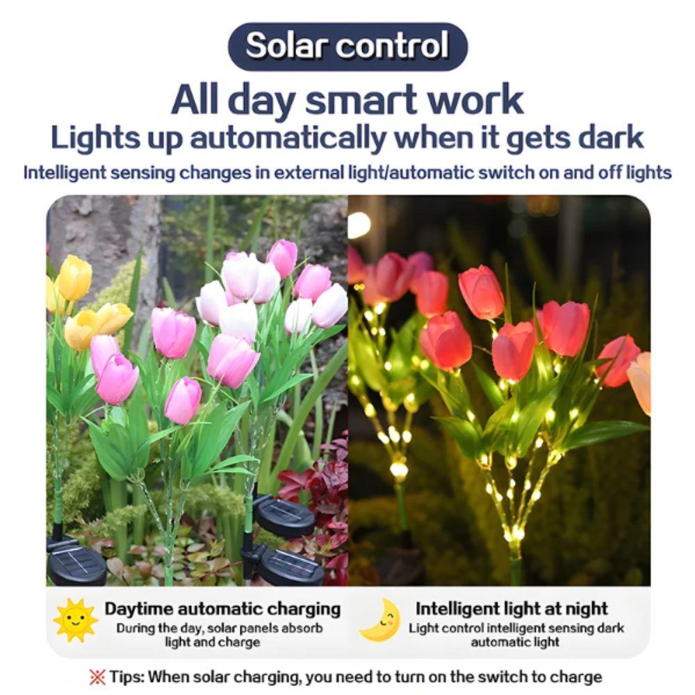 Waterproof Design Outdoor Solar Lights LED Lights Solar Landscape Light Solar Garden Lights Lawn