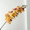 9 Head Latex Butterfly Orchid Artificial Flowers Hand Feeling Fake Flowers RoomTable Decoration Wedding Arrangement