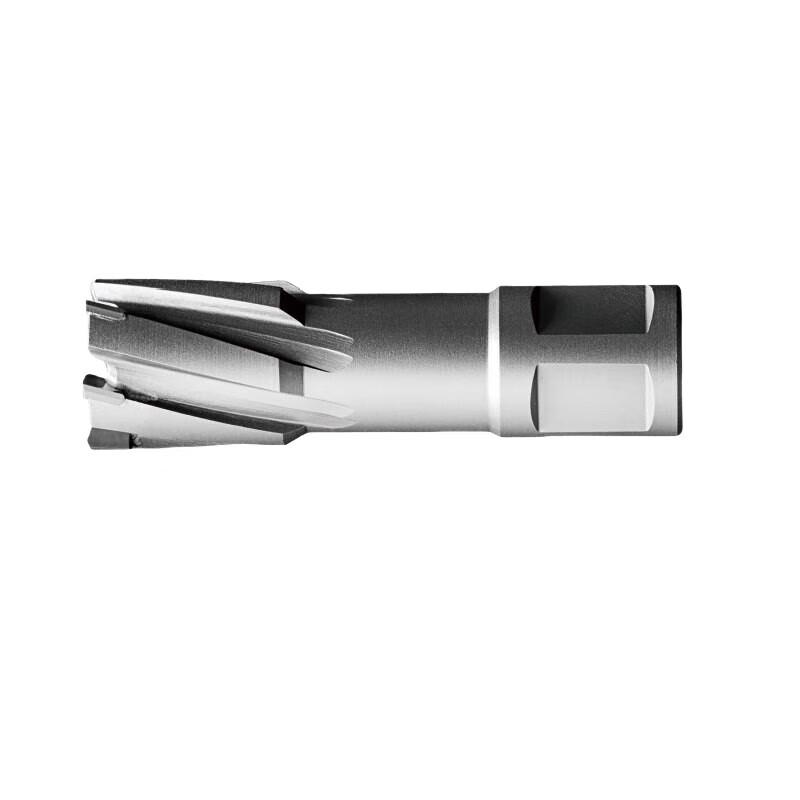 

Dongcheng Quick-Change Alloy Hollow Core Drill Bit CN plug (adapter included)