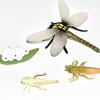 Montessori Plant & Animal Life Cycle Educational Toy Set for Early Learning