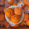 Orange Fruit Stress Relief Toy Realistic Squishy Squeeze Fidget Toy for Kids Adults Long Trip Boredom Relief