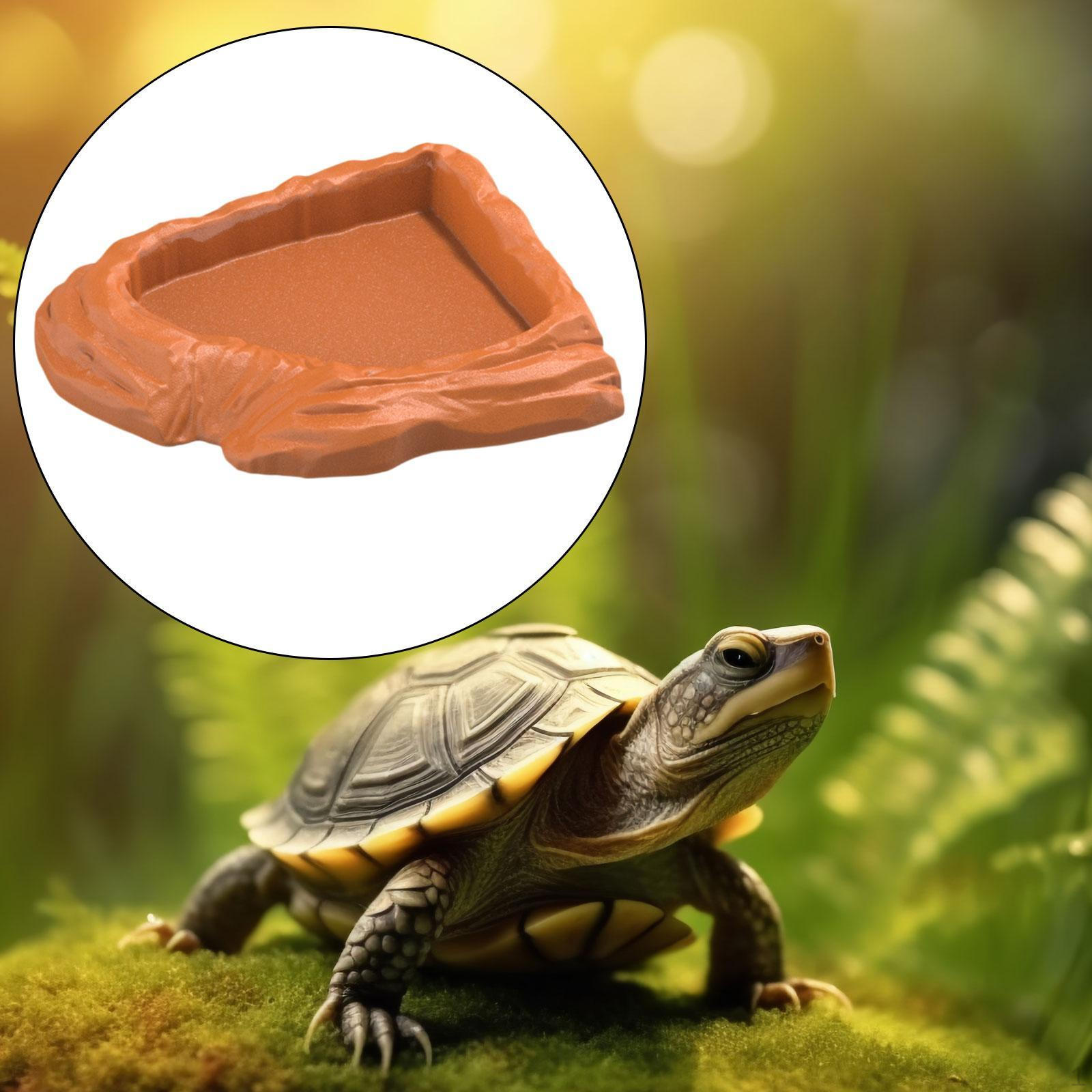 

corner Terrarium Bowl Reptile Feeding Dish, Decorative Turtle Water Bathing Pool for світло-коричневого кольору