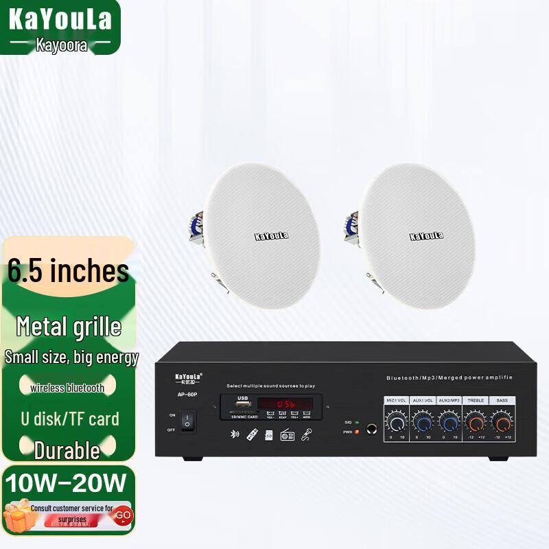 KaYouLa Conference Audio-Video Ceiling Speaker System (CN version)