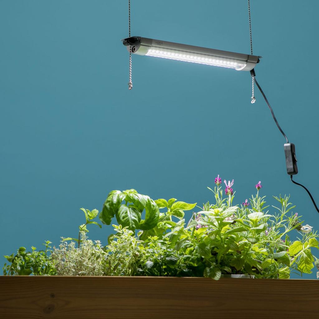 Takasho Plant Grow Light, 27cm, LSB-27K, 5.4cm Deep X 2.6cm High X 27cm Wide