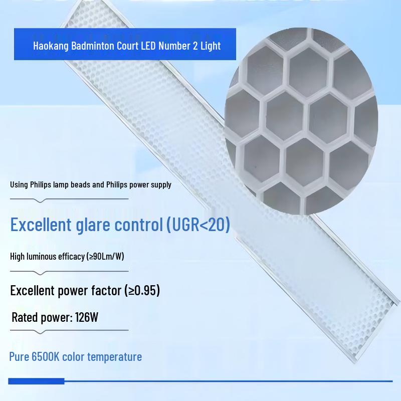 Haokang PVC Sports Flooring for Badminton