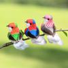 3/6Pcs 3D Fake Craft Birds Artificial Foam Birds Birthday Party Decorations Home Garden Wedding Decoration