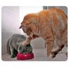 CAT-9 Mouse Pad Cute Cat Picture Anti-Slip Gaming Mouse Mat Replacement for PC Computer Laptop
