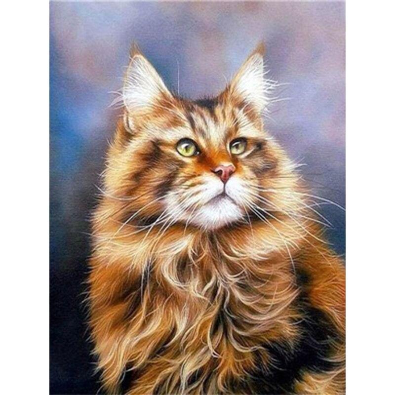 

60x75 см Рамка 5D DIY Алмазная картина Полная дрель Кошка Животное Распродажа Алмазная вышивка Мозаичная картина Украшение дома Full Round 20x30CM