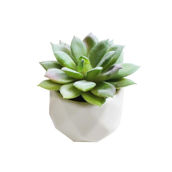 1 Adet Yapay Çiçek Etli Bitki Bonsai DIY Bahçe Ofis Ev Partisi Dekoru