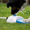 Dog Step on Sprinkler Water Pedal Step on Dog Water Fountain Pet Drinking Dispenser with 162cm Hose forSummer Play Entertainment