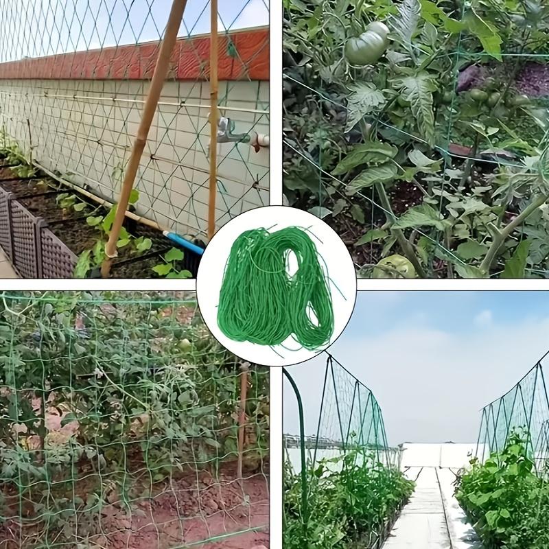 High-quality Garden Climbing Netting Strong PE Plant Trellis for Climbing Plants Loofah Morning Glory Flowers Cucumber Vine