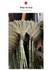 Large Bamboo Broom for Indoor Hard Floor Cleaning - Ideal for Office, Classroom, Yard, and Household Use