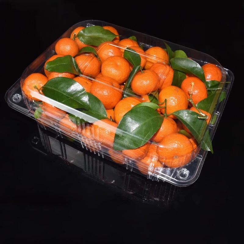 Disposable Fruit and Vegetable Packaging Box