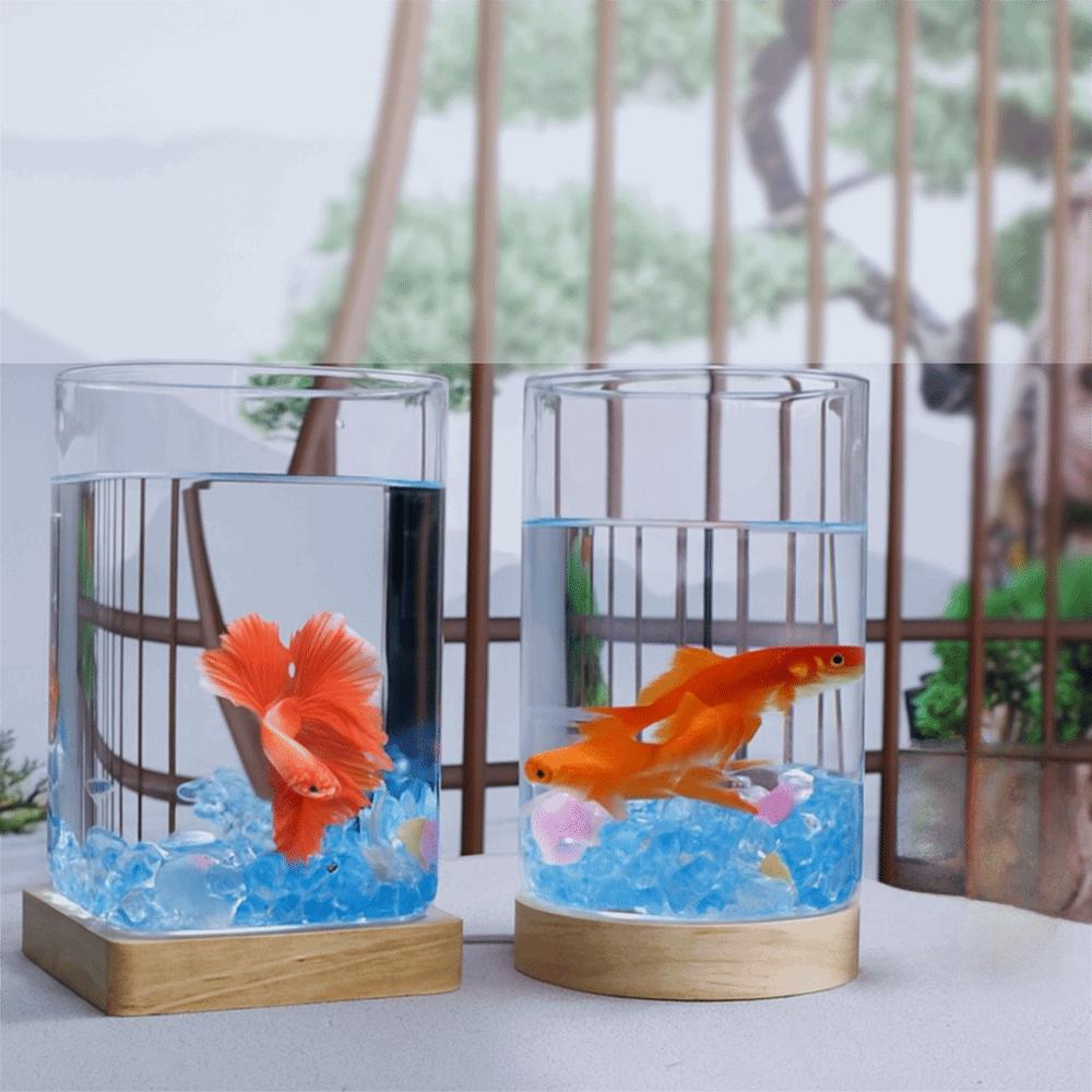 High Transparency Betta Fishtank Glass Ecological Tank Creative Goldfish Tank  Desktop Decoration