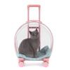 Portable Transparent Pet Carrier: Multi-Purpose Large Capacity Travel Bag for Cats