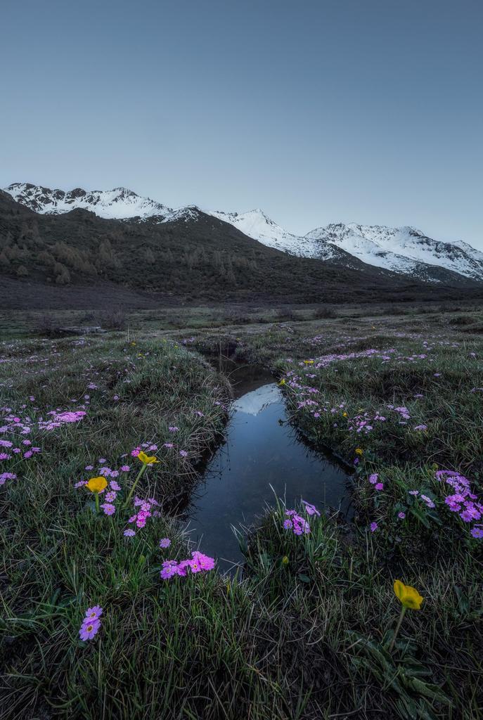 LAOWA 12mm Lite FF Angle Manual Focus Lens for Mirrorless Cameras F2.8 Zero-D L-Mount Ultra-Wide (LAO0827)