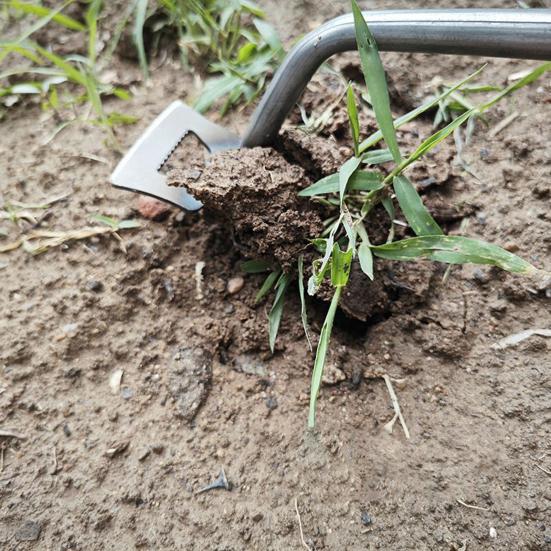 Weed Puller Tool Manganese Steel Uprooting Weeding Tool Garden Weed Remover with Long Handle for Vegetable Planting Weeding