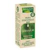 Phytosun Arôms Géranium Bio 5 Ml