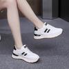 Mesh Breathable Women's Shoes Sneakers Women's Light and Fashionable 2025 Spring New Dad Heightening Ins Board Shoes