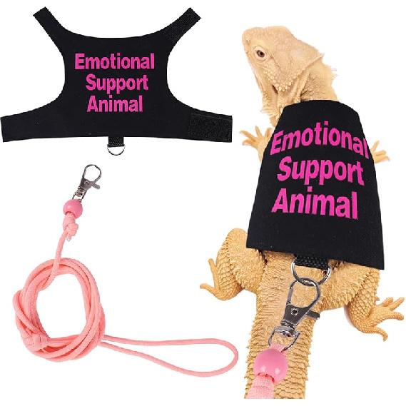 Bearded Dragon Harness and Leash Set Adjustable Reptile Lizard Leash Rope Vest Clothes Starter Kit Accessories for Small Animal Outdoor Walking